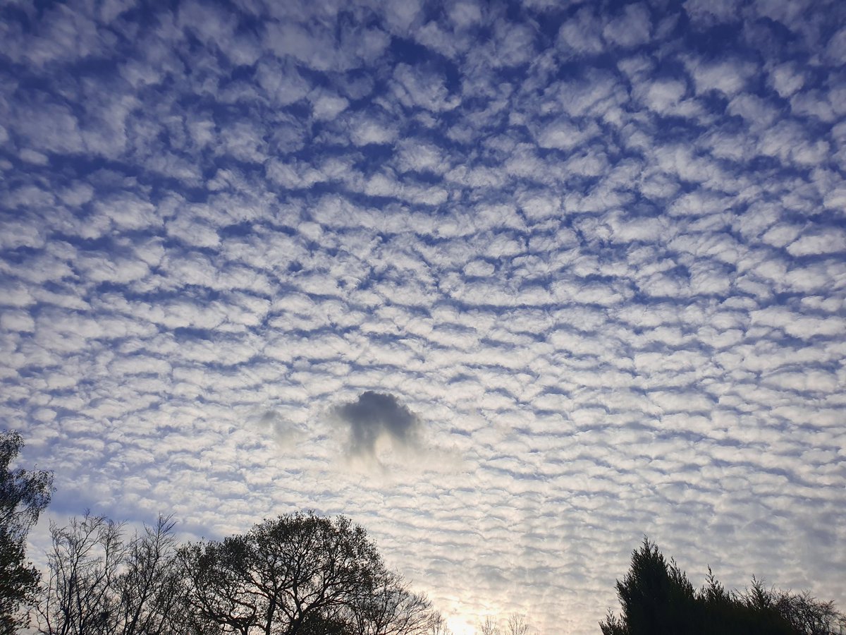 Early morning #yoga sky 🙏💗