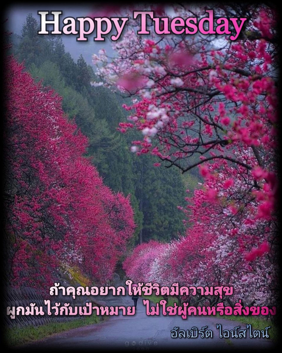 Nit Satun tweet media