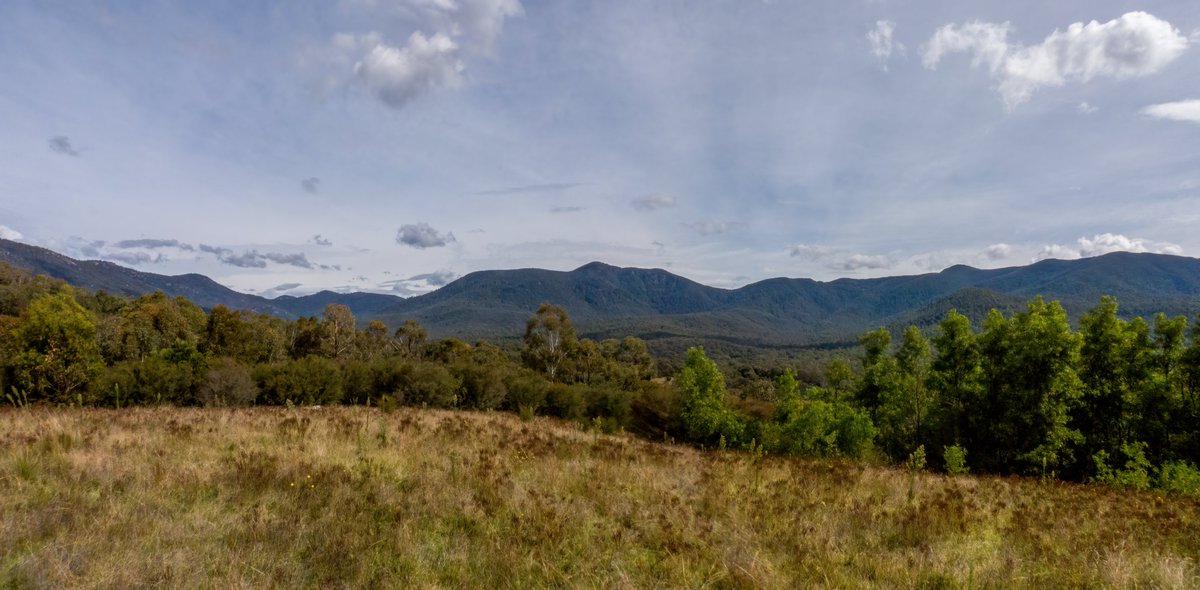 c_mperman's tweet photo. Yesterday's #CanberraWalks was a revisit to Church Rock @TidbinbillaNR with @KMRiethmiller and @GriffithsKathy in lovely weather. 'Roos, Views, Rocks and a picnic lunch. Fabulous! @GbhvfRon @CraigAllenCBR @wapple15 https://t.co/eSYHMq5pyI
