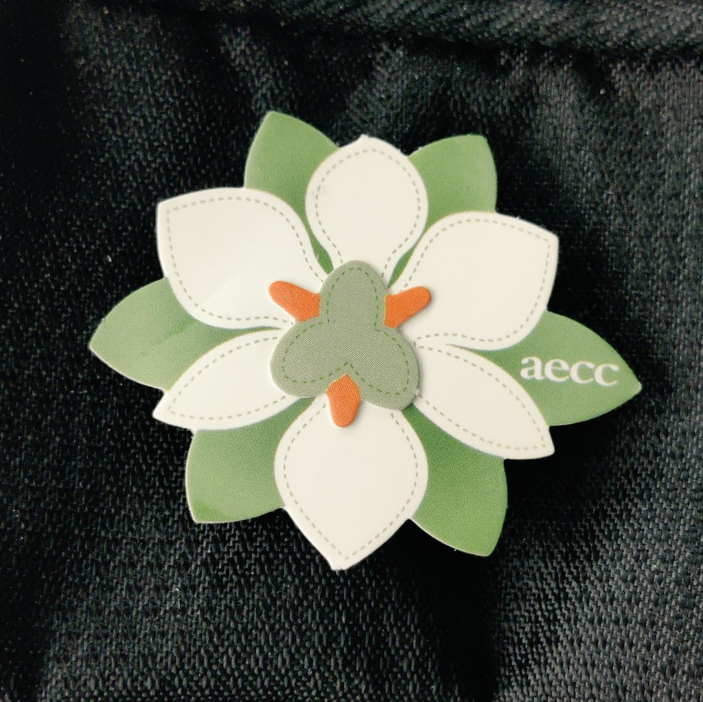 #FlordeEsperanza <a href="/ContraCancerEs/">Asociación Española Contra el Cáncer</a>