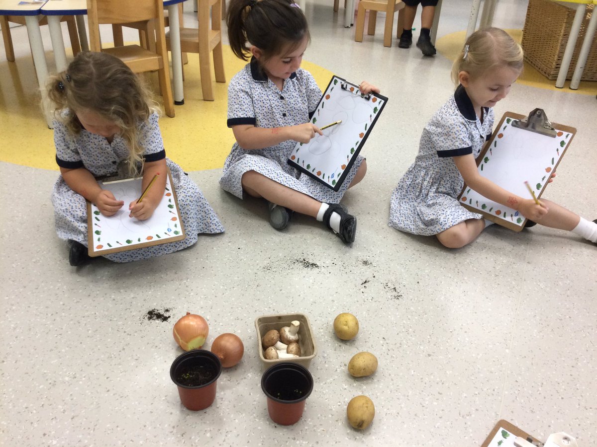 FS_WEK's tweet image. FS1 are busy investigating what grows from the ground! 🌱🥔🥕🌽🧅#limitlesslearning #limitlessfun