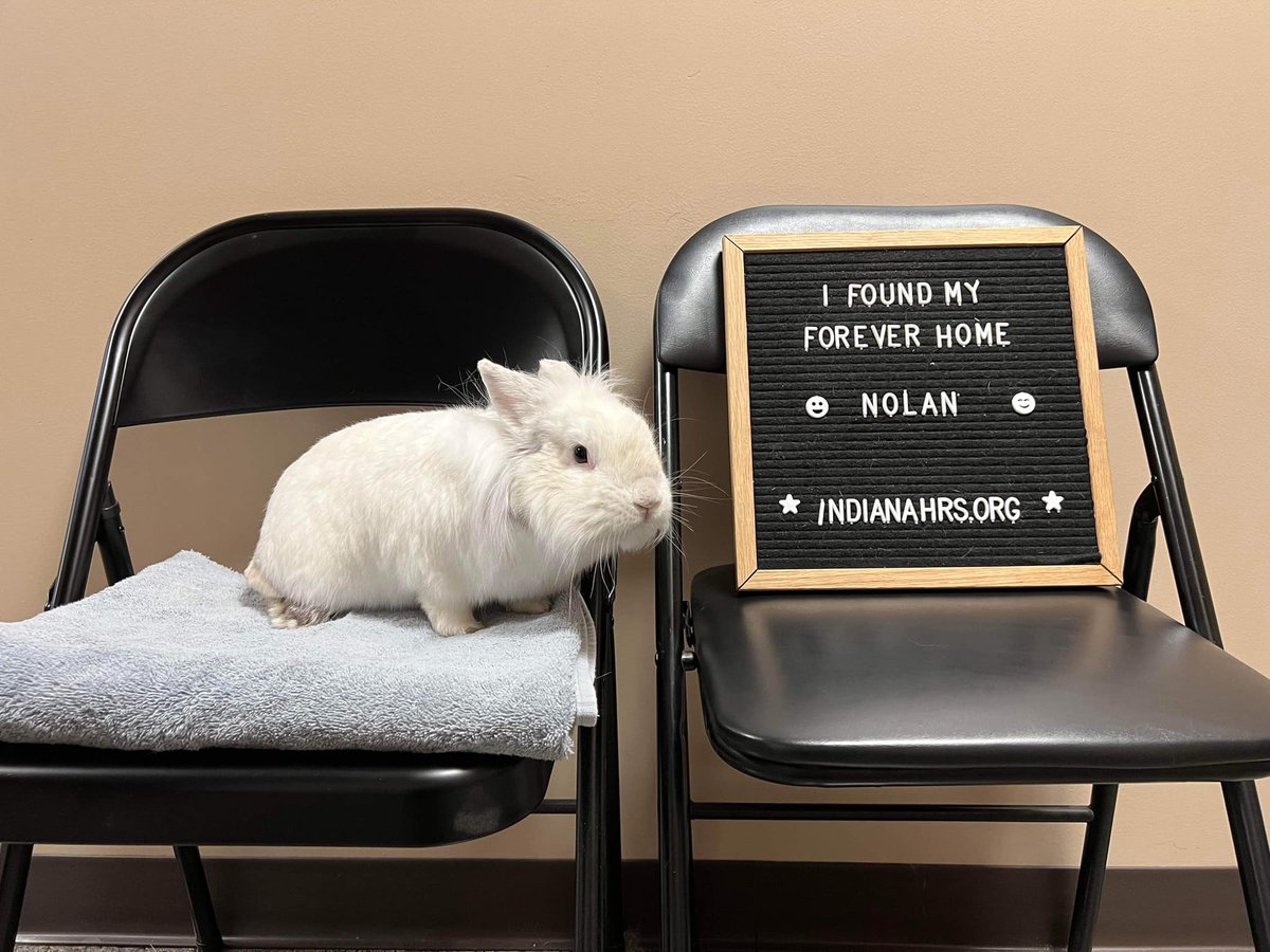 Indy Creation Fest tweet media