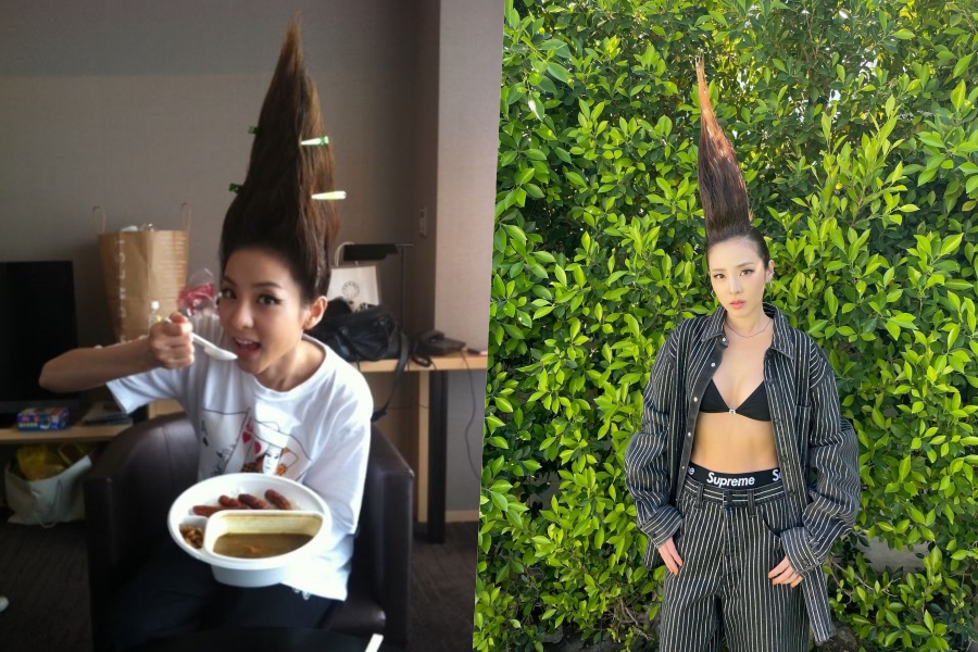 EntameKorea's tweet photo. サンダラ・パク、2NE1のステージのため再び「ベジータヘア」に

サンダラ・パクが、2NE1と一緒のステージで「ベジータヘア」を披露した。

　サンダラ・パクは18日、SNS「インスタグラム」に「Hey Coachella～ Who’s the best？」と https://t.co/18fhn2U7R0 https://t.co/Xr354HyDRM