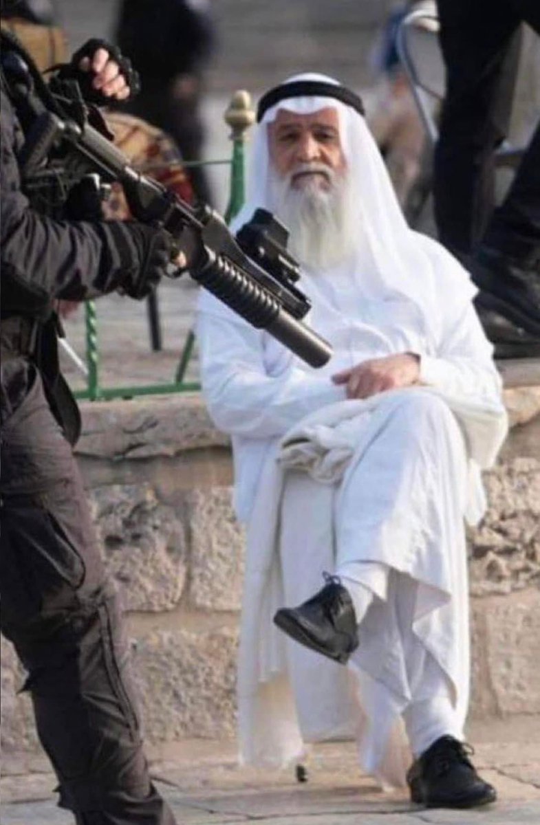 Onlar müminlere karşı mütevazı ve merhametli, kâfirlere karşı izzetli ve onurludurlar...