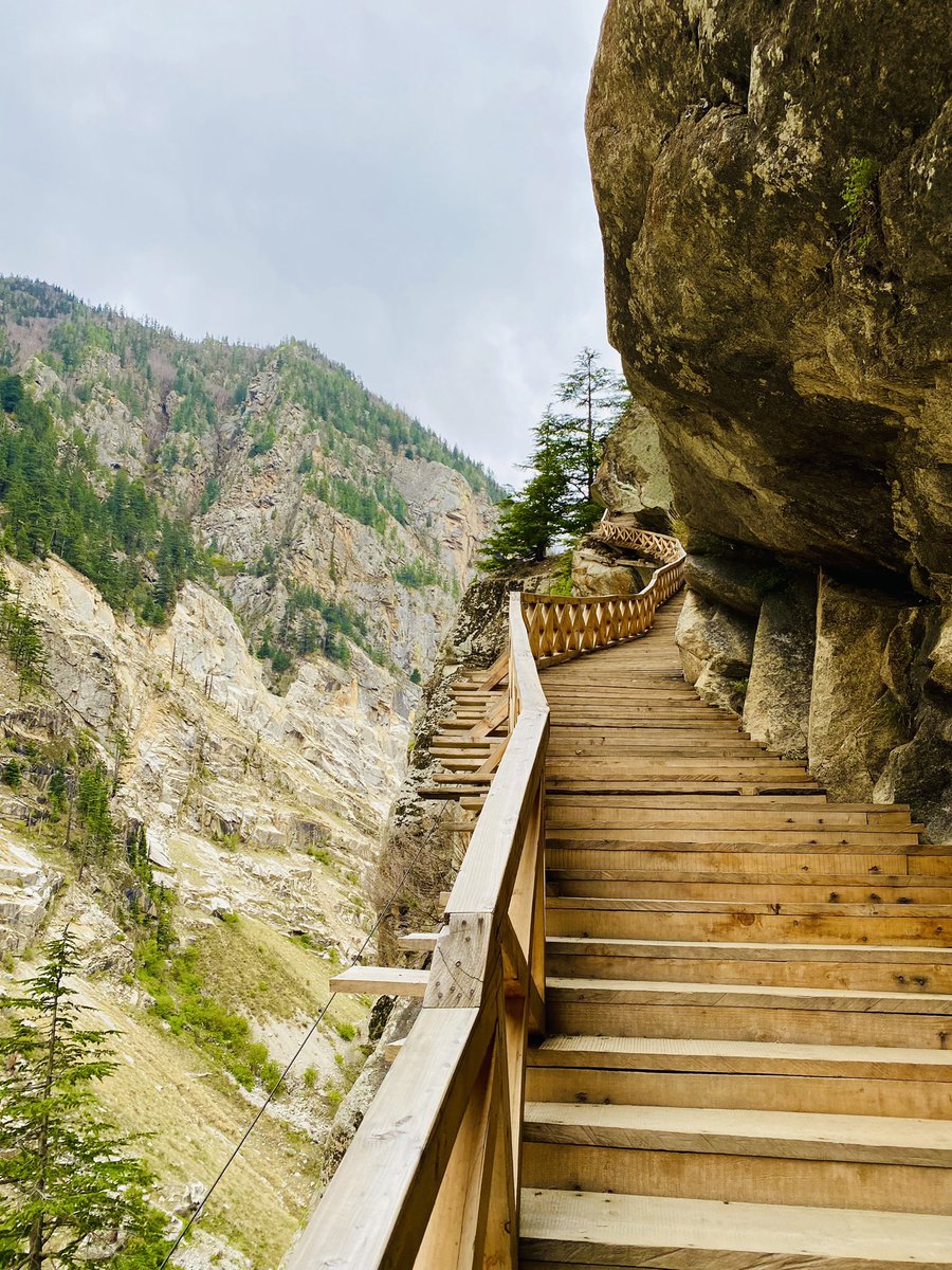 KKMtweet's tweet photo. Do check the wooden open skywalk inside Gangotri National Park. Walking in air, along the river or somewhere in between. Beauty of nature and thrill rolled into one. 

#UttarakhandTourism #IncredibleIndia #DekhoApnaDesh #Gangotri #GartangGali https://t.co/FiA0ThBuOP