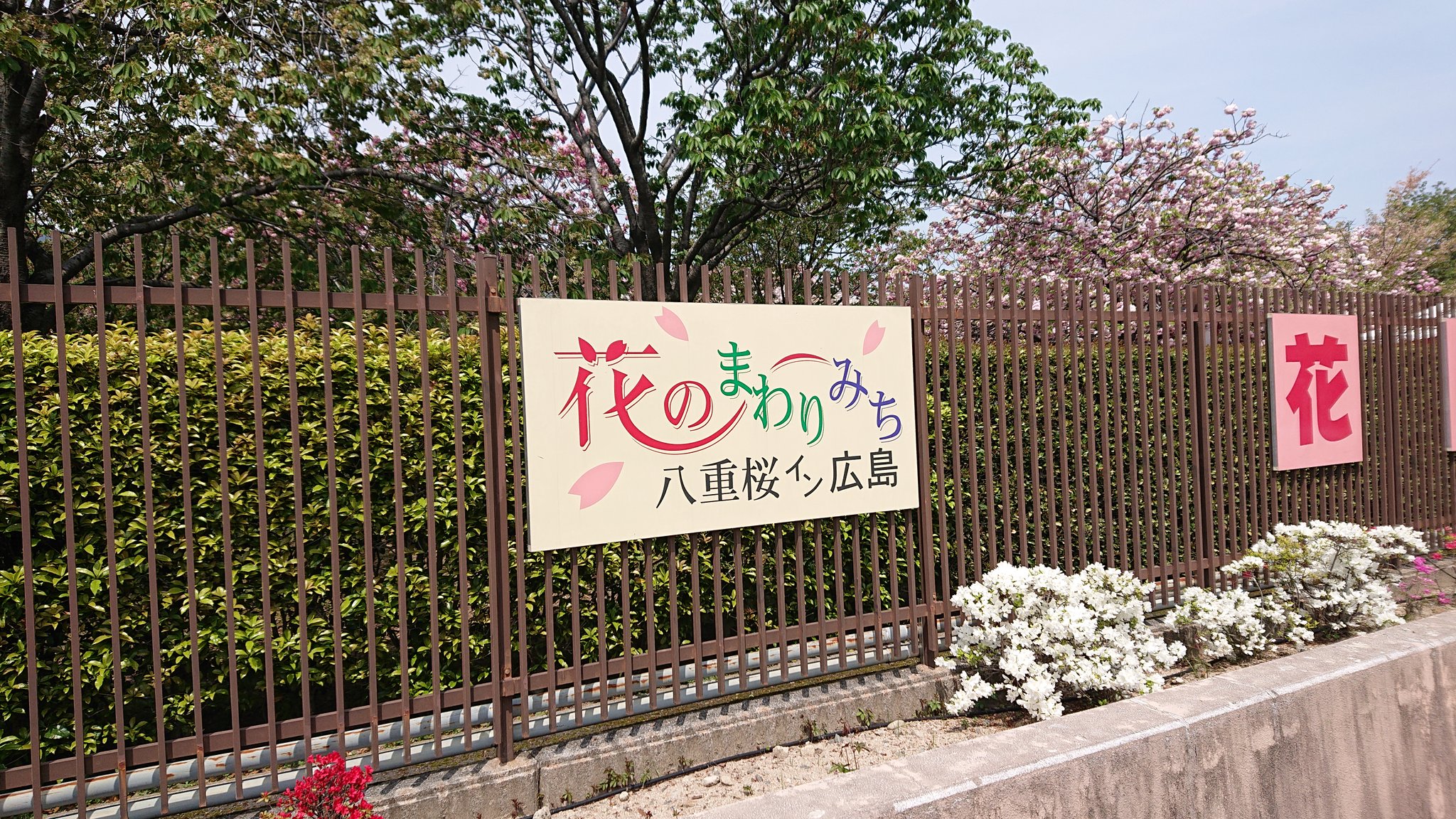 花のまわりみち Twitter Search Twitter