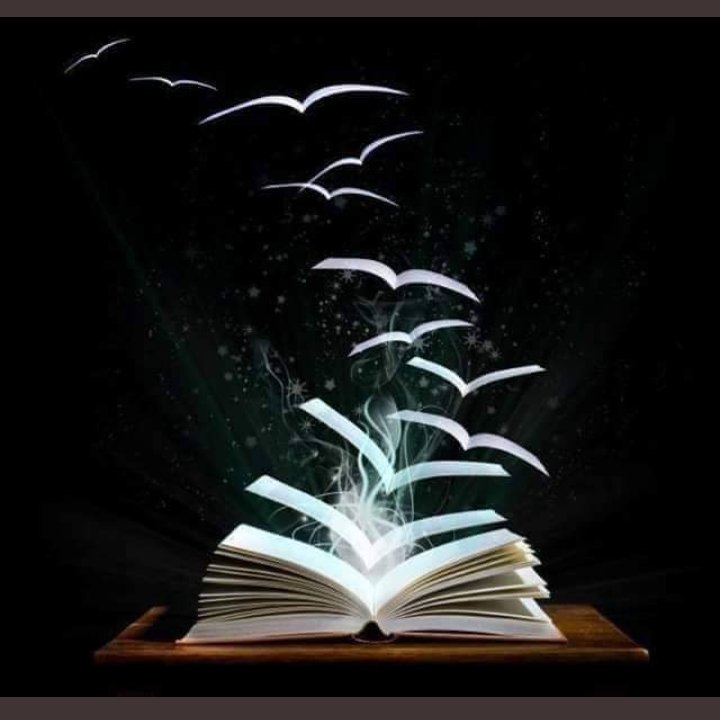 Kadının varlığına katlanamayan 

#zihniyet ;

elbette onun yazmasına, 

okumasına,

düşünmesine de karşıdır..

📚Virginia Woolf📚