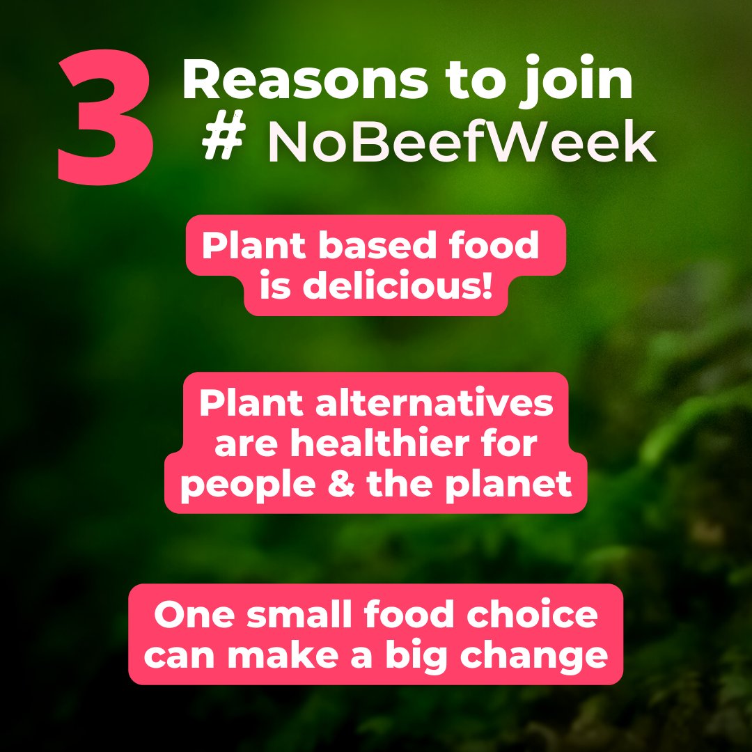 #NoBeefWeek tweet media