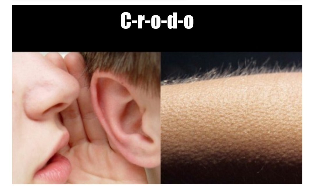 yulikru's tweet photo. @Crodo_io #CRODO #CRONOS @cronosapp @cryptocom https://t.co/4aPchQW4yx