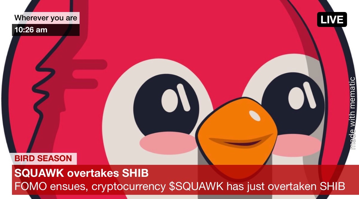 Squawk & Chirp tweet media