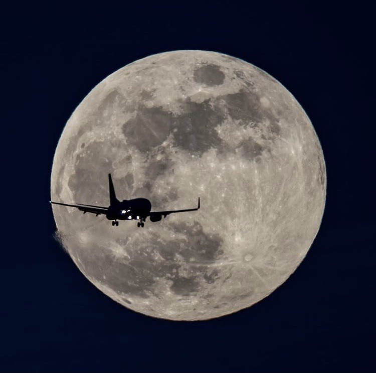 pedestrian's tweet image. 