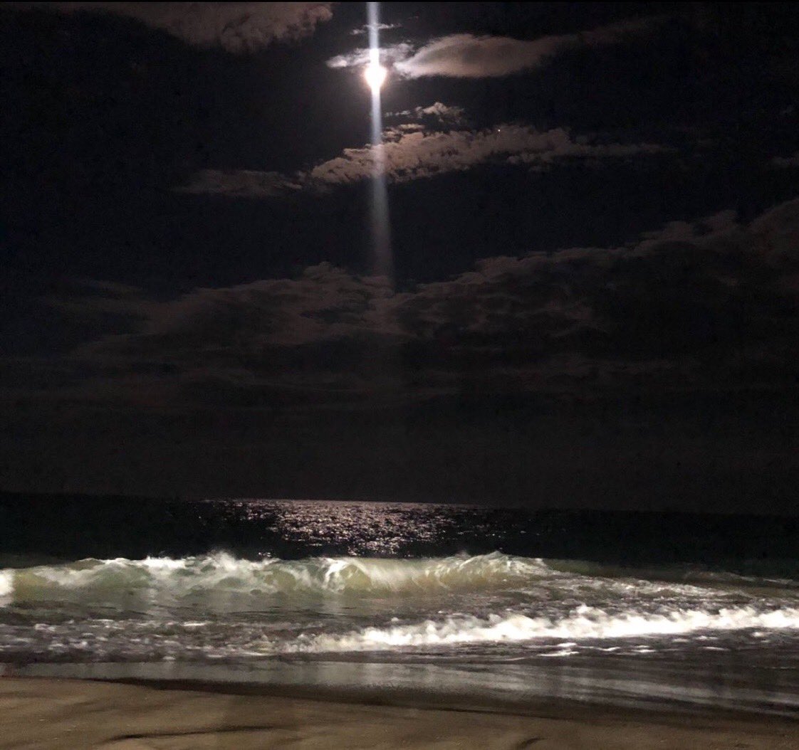 sparemusing's tweet image. Lived on an island for the entirety of my life yet never stepped foot on the beach.. Till tonight. 

Freedom never tasted so sweet 

.. and salty.