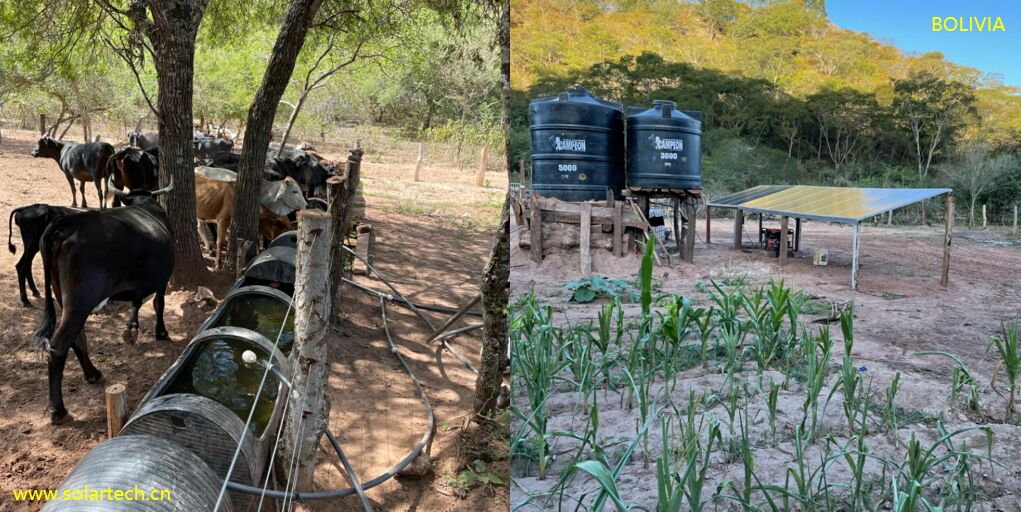 Chinasolartech's tweet photo. Livestock raising and agricultural planting in dry year of Bolivia.
#livestockraising #agricultureirrigation #Bolivia #dryyear https://t.co/12qq5k6rNp