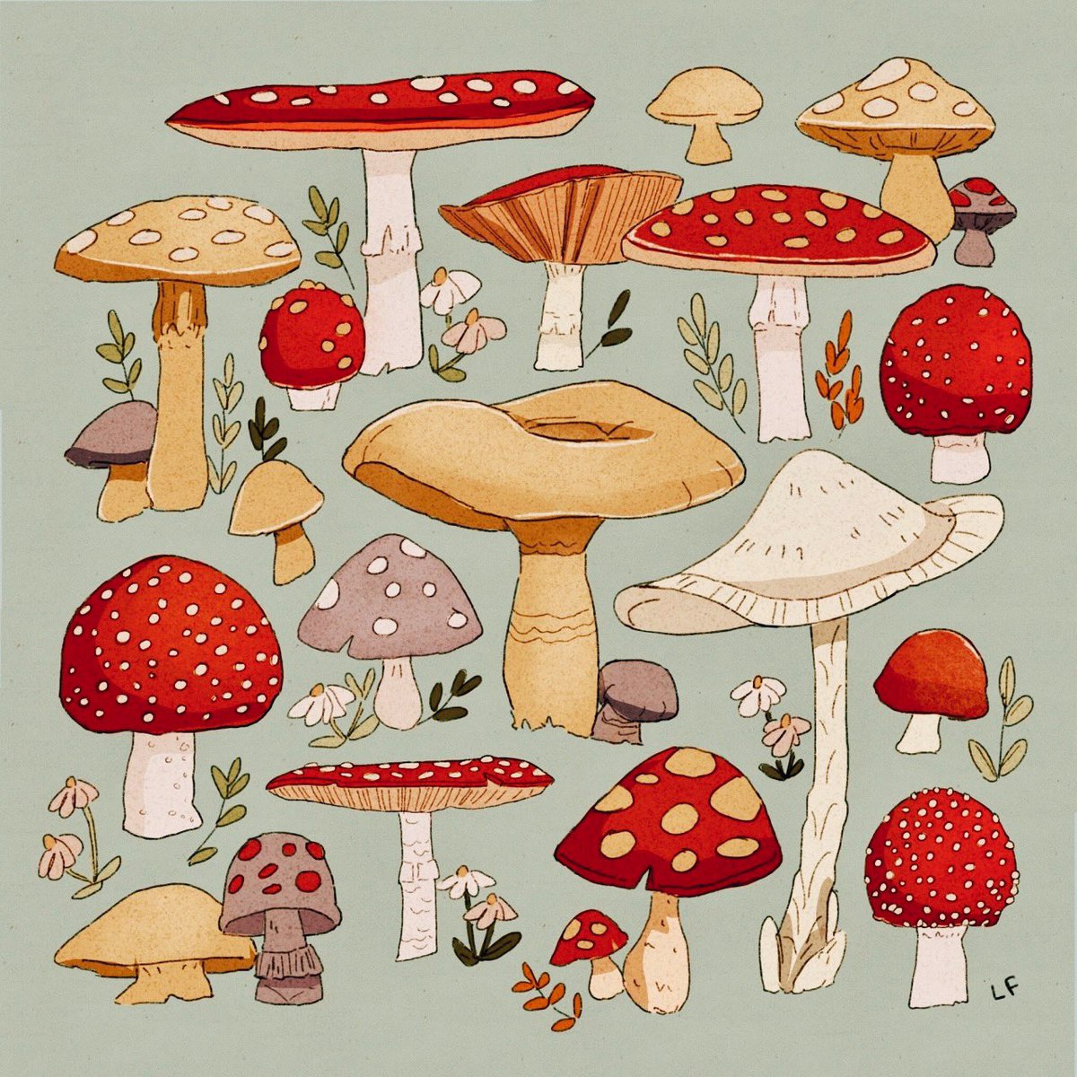 「Mushrooms 🍄 」|Libbyのイラスト