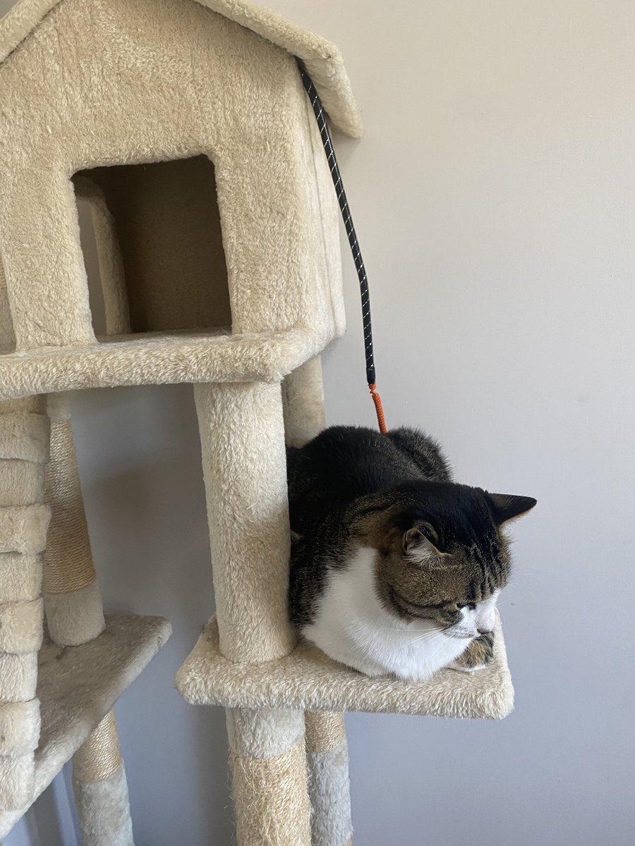 充電中 Σ(ﾟдﾟ；)？！