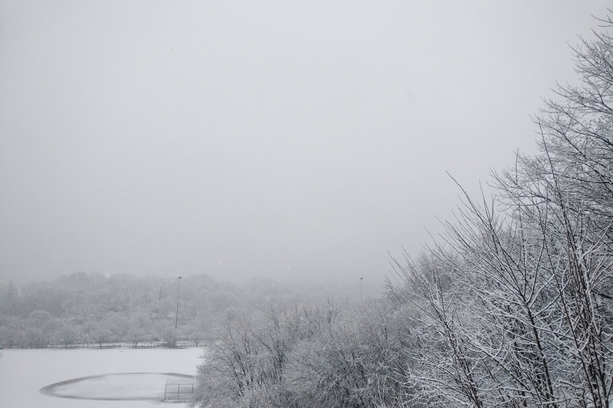 alanaclinemusic's tweet photo. A day of Toronto weather yesterday: spring flowers in the morning, snow in the evening!

#Toronto #TorontoWeather #Snow #Snowing #Flower #Flowers #Garden #Gardening #Ontario #Canada @LeighClineMusic https://t.co/11tzRTIIzr