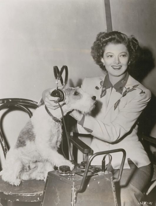 Myrna Loy having some fun with Asta, the beloved fox terrier from the Thin Man film series.  #oldhollywood #foxterrier #myrnaloy #thinman #1930s #famousdogs #vintagehollywood #mansbestfriend