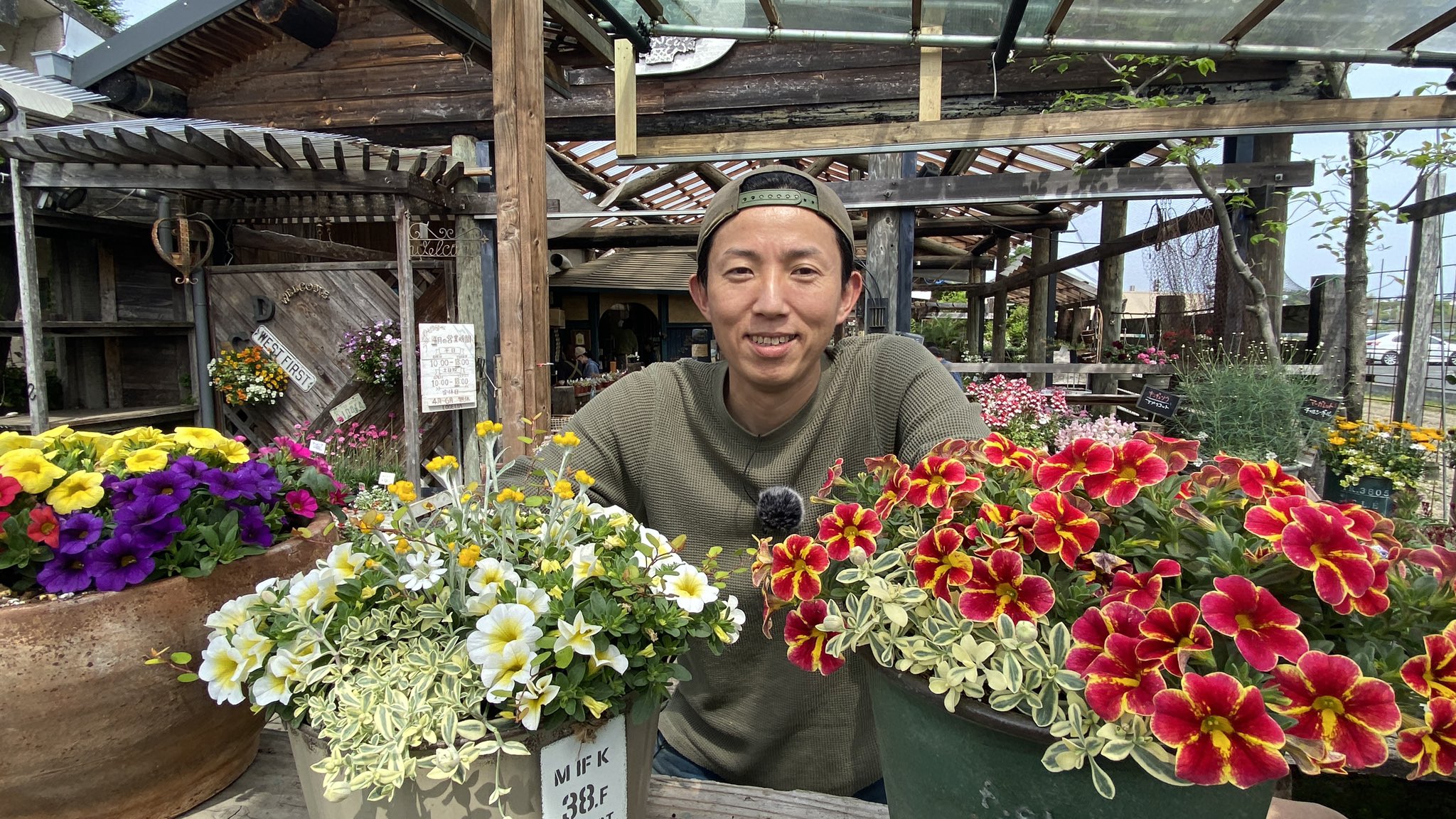 ショクナナ 植物遊戯7チャンネル 本日ロケは堺市のロベリアへ 土曜日配信だけど 園芸男子はお休み 寄せ植え王子 こと 上田広樹氏がおすすめの花と 寄せ植えのポイント解説します 配信日は5月7日と14日です チャンネル登録宜しくお願いします