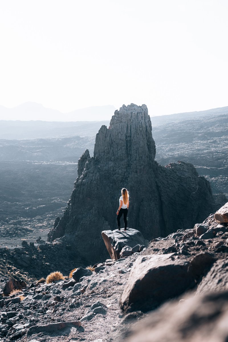 gm my adventurous frens