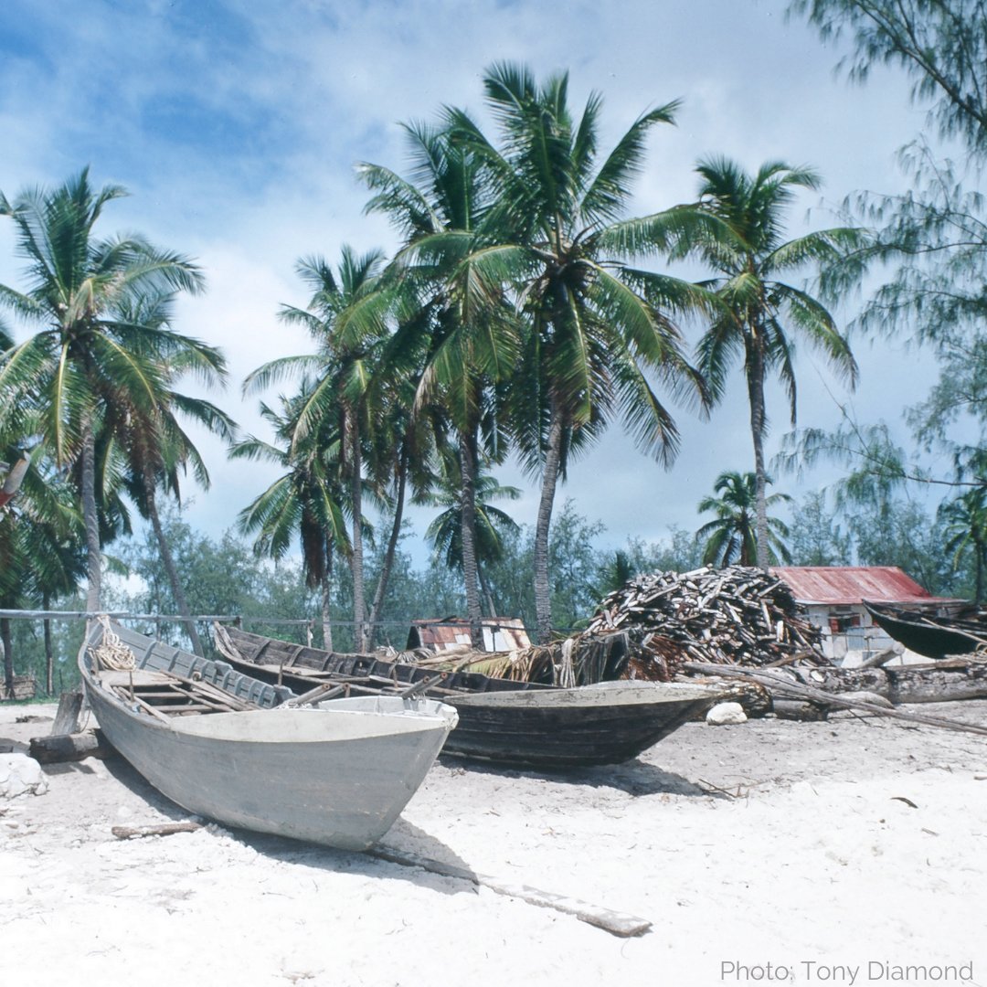 SIF_Seychelles's tweet photo. The #AldabraResearchStation has a small fleet of boats named after various species.
Before the time of engine-powered boats, Aldabra’s residents made use of #pirogues, small wooden boats with oars.
Sign-up for the #Aldabra50 symposium here: https://t.co/Di4wmc0DTs https://t.co/Qa4QLWZIPx