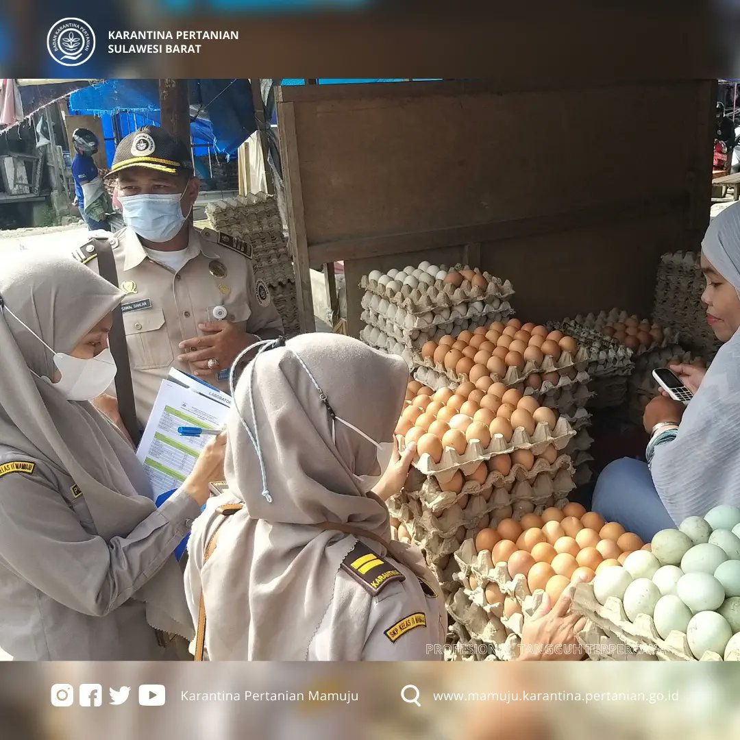 Pemantauan ini  guna memastikan ketersediaan bahan pokok selama ramadan dan menjelang hari raya lebaran. Pasar Banggae Kabupaten Majene dan  Pasar Topoyo Kabupaten Mamuju Tengah adalah dua lokasi tersebut yang dipantau, Selasa (19/4).