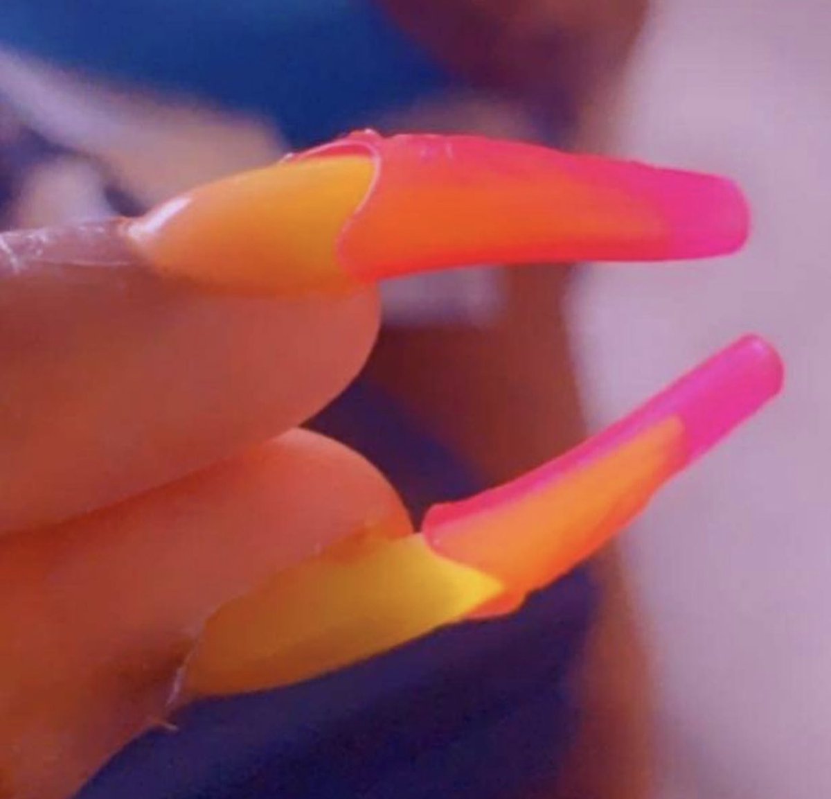 Designer High tweet media