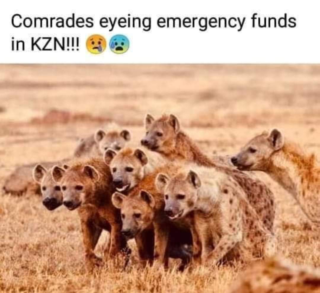 nelieol's tweet photo. #GoodMorningTwitterWorld #notANC #ANCMustFall #KZNFloods #anccadres #emergencyfunds #VoetsekANC and also #VoetsekEFF #VoetsekSAMedia https://t.co/8btZplK7tl