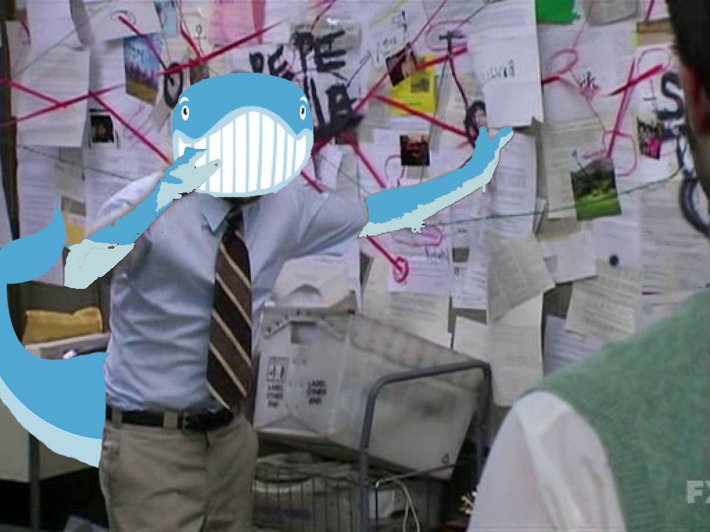 unusual_whales on Twitter: "The BEST place for Unusual Whales education