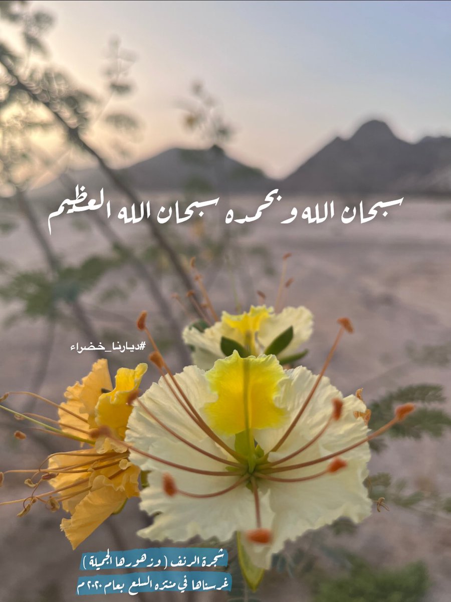 ديارنا خضراء (@greenzoneksa1) on Twitter photo 