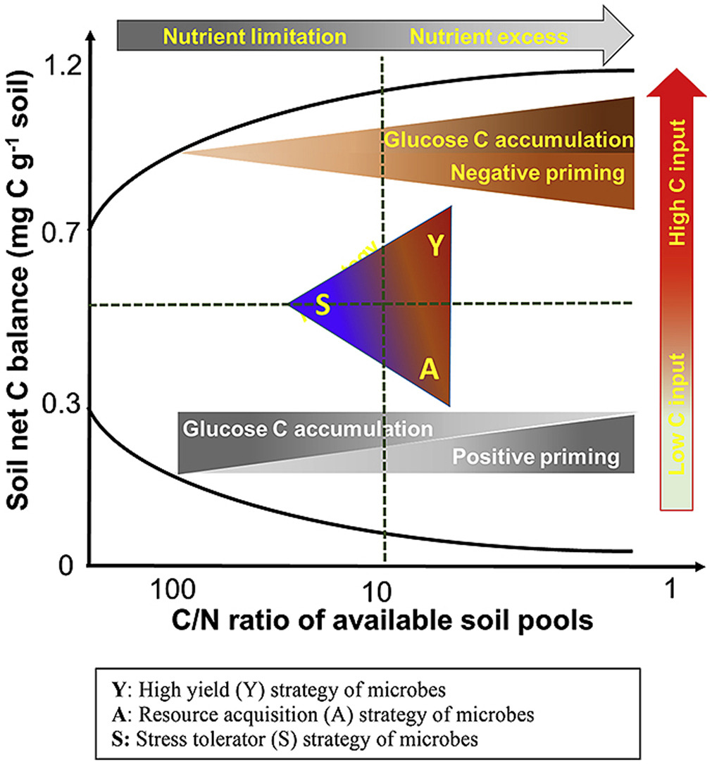 ykuzyakov's tweet photo. Exciting in @SoilBiolBiochem 
#Stoichiometry of #PrimingEffects and #soilcarbon balance by life strategies of #Microorganisms

https://t.co/Yps1TeHptm
50-day Free Link: https://t.co/kwjpgA5Hes

#Nutrients #SoilOrganicMatter #Isotopes #PLFA https://t.co/Vu9plllKUa