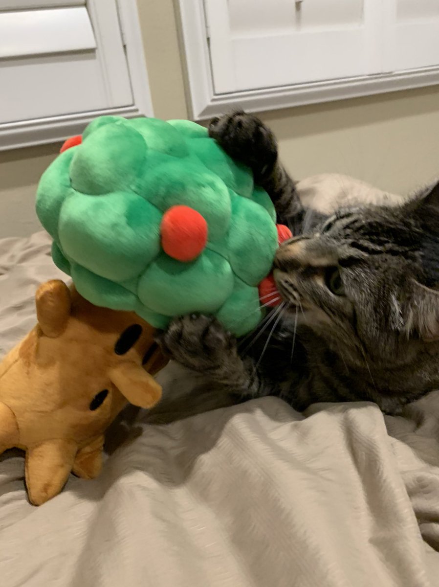 affixtwin's tweet image. Whispy vs Whispy