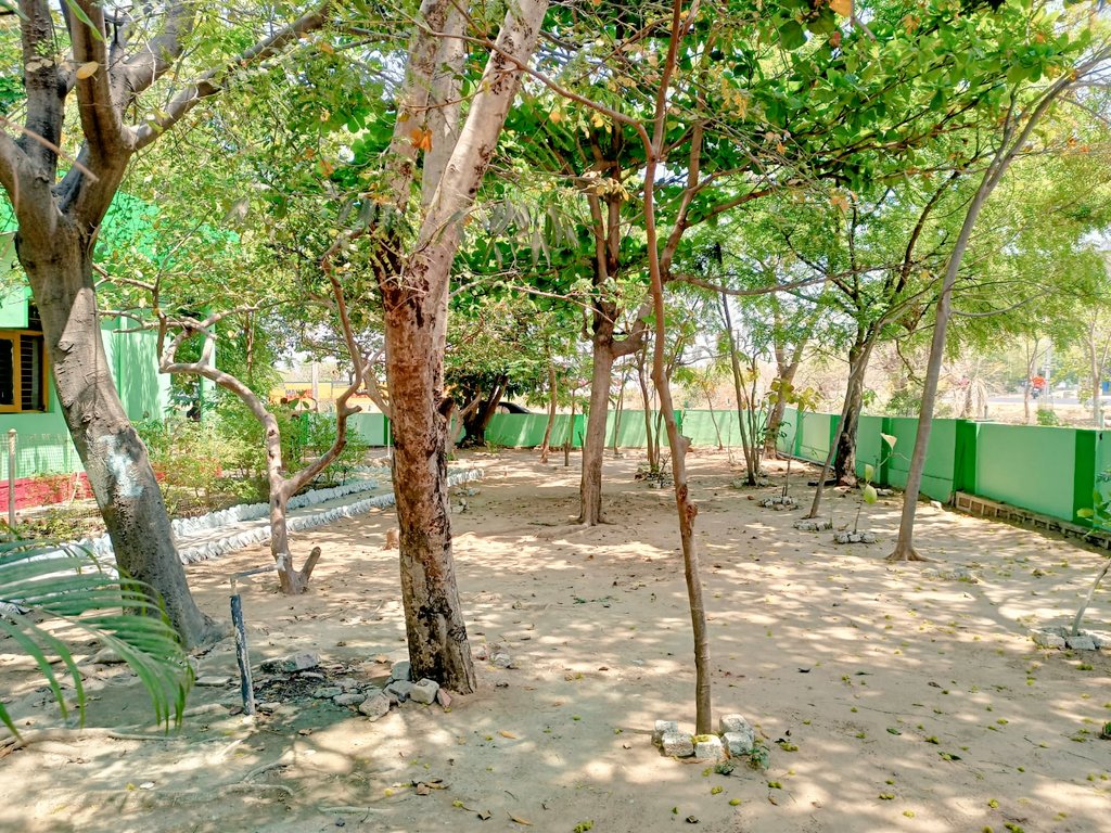 #22

ఆహ్లాదకర వాతావరణంలో కమ్మర్ పల్లి మండలం చౌట్పల్లి ప్రాథమిక ఆరోగ్య కేంద్రం.

<a href="/TelanganaHealth/">Office of Minister for Health, Telangana</a> 
<a href="/TelanganaCMO/">Telangana CMO</a> 
<a href="/Collector_NZB/">District Collector Nizamabad</a>