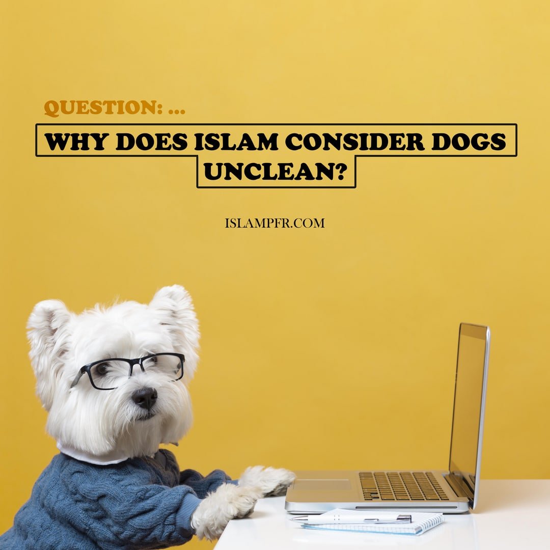 ❓Question ...
Why does Islam consider dogs unclean?
🌐 islampfr.com/why-does-islam…