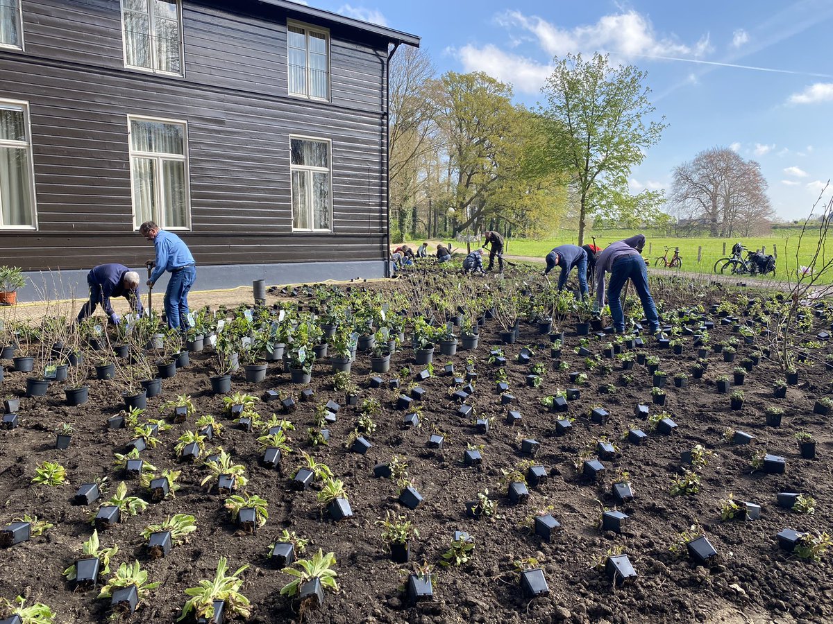 Ervenplatform's tweet photo. De tuin voor het sfeervolle houten huis op landgoed #’t Schol aan de Wilpsedijk bloeit weer! Samen met @IJssellandschap maakte ik vanuit @HetOversticht het borderontwerp. Gerrit en alle vrijwilligers, dank voor dit moois. Heerlijk om mee te planten! https://t.co/MyVjurZ4IC