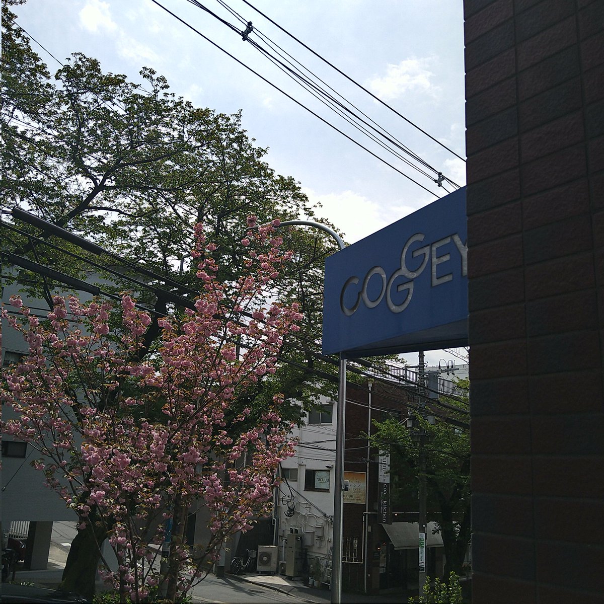 cyclonechee's tweet image. 【新規お取り扱い店様】
コギーたまプラーザ店様でもCycloneの商品をお求めいただけるようになりました！
夏物、新作などたくさん納めてまいりました。
たまプラーザ駅すぐなのでぜひお立ち寄りくださいねヾ(･ω･*)ﾉ
#サイクルキャップ #コギー #COGGEY