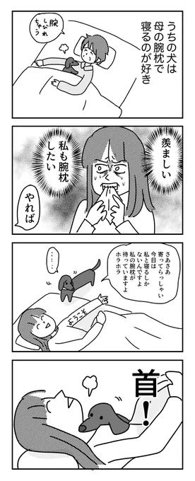 腕に来ない 

おまけはブログに→
https://t.co/jZNKNa9xrC 

何故か絶対に腕には来ないし、こっちは眠れない 