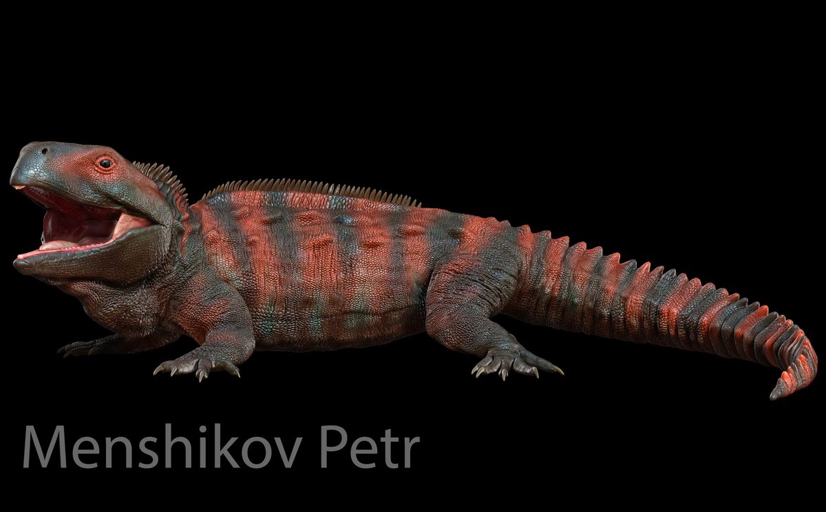 Petr75113553's tweet photo. 3d model of Kaikaifilusaurus calvoi
#rhynchocephalia #lepidosauria #diapsida #kaikaifiluaaurus #zbrush #paleo #3d https://t.co/bZcbF2yUMj