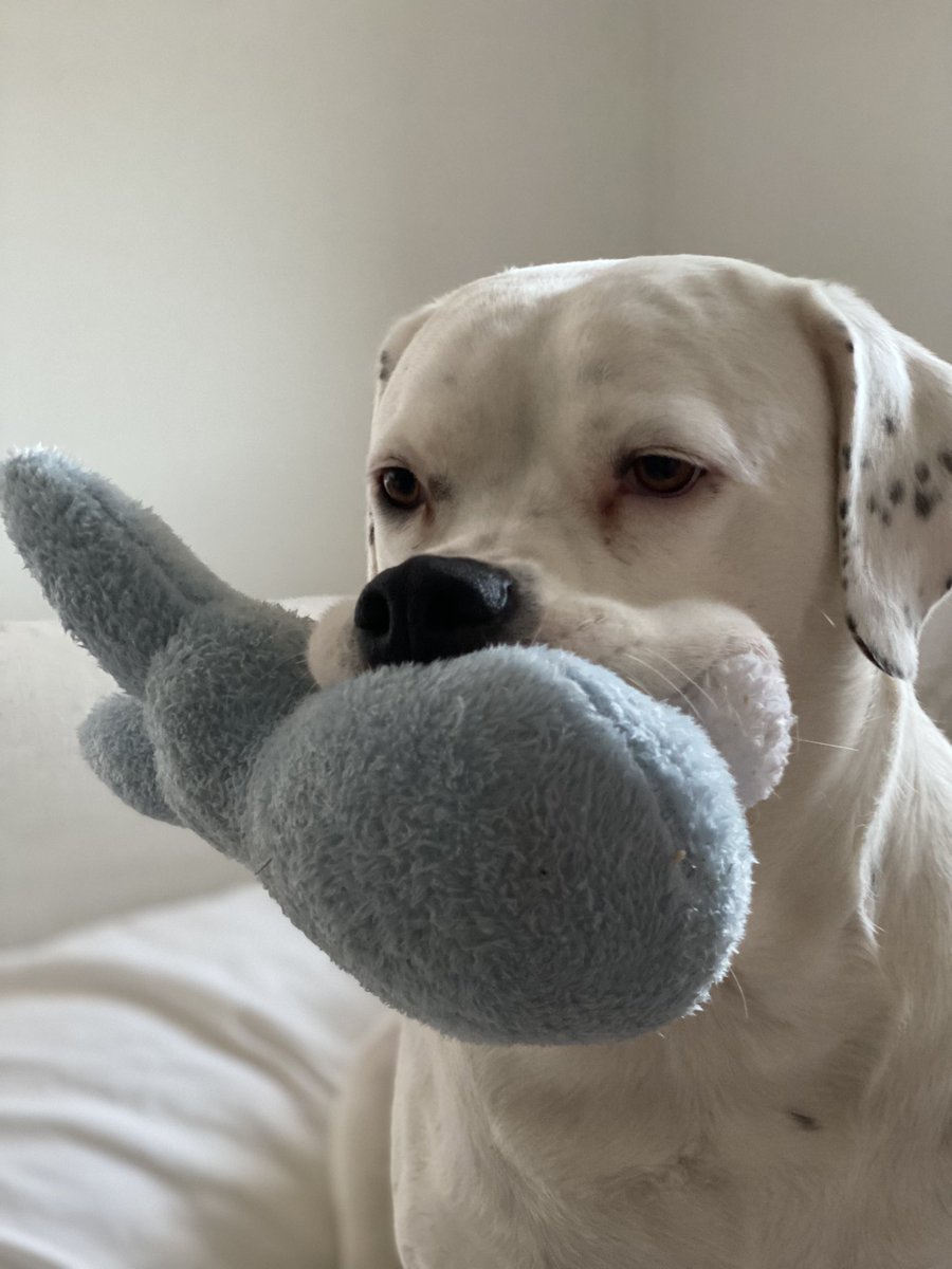 Nicole de B tweet media