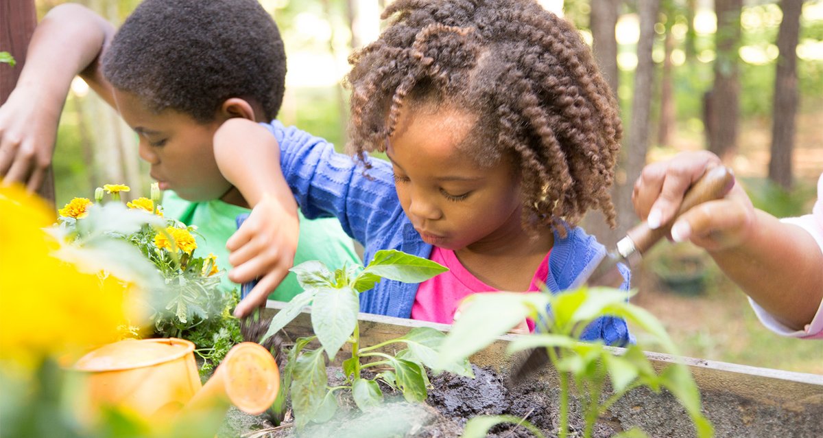 Verdient jouw gemeente de Gouden Wortel 2022?
Hiermee worden twee gemeenten in het zonnetje gezet, als inspiratie voor andere gemeenten en als waardering voor de ondersteuning. Nomineer jouw gemeente voor 10 mei. 
alliantieschooltuinen.nl/gouden-wortel/