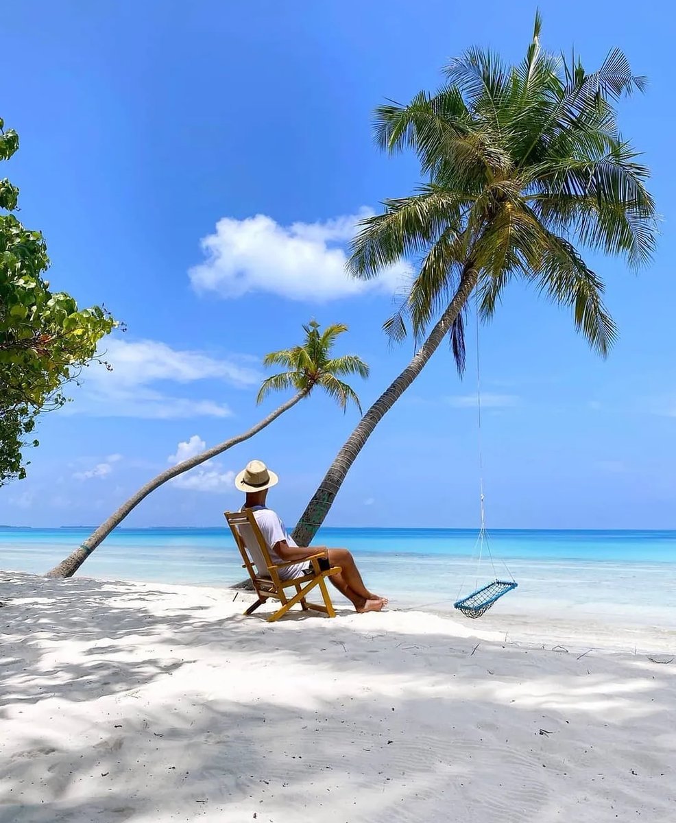 Select Maldives tweet media