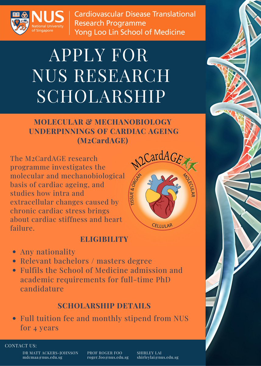 NUS CVD Programme (@cvdnus) on Twitter photo NUS Research Scholarship offered by CVD TRP - Molecular & Mechanobiology underpinnings of Cardiac Ageing (M2CardAge).
More detail at nusgs.nus.edu.sg/programme/phd-…
<a href="/CvdNus/">NUS CVD Programme</a> <a href="/NUSMedicine/">Yong Loo Lin School of Medicine</a> <a href="/NUSingapore/">NUS</a> <a href="/rsyf2/">Roger Foo</a> <a href="/TheFooLab/">Foo Lab</a> #NUSMedicine #research #science #cardiovascular #scholarship NUS Research Scholarship offered by CVD TRP - Molecular & Mechanobiology underpinnings of Cardiac Ageing (M2CardAge).
More detail at nusgs.nus.edu.sg/programme/phd-…
<a href="/CvdNus/">NUS CVD Programme</a> <a href="/NUSMedicine/">Yong Loo Lin School of Medicine</a> <a href="/NUSingapore/">NUS</a> <a href="/rsyf2/">Roger Foo</a> <a href="/TheFooLab/">Foo Lab</a> #NUSMedicine #research #science #cardiovascular #scholarship