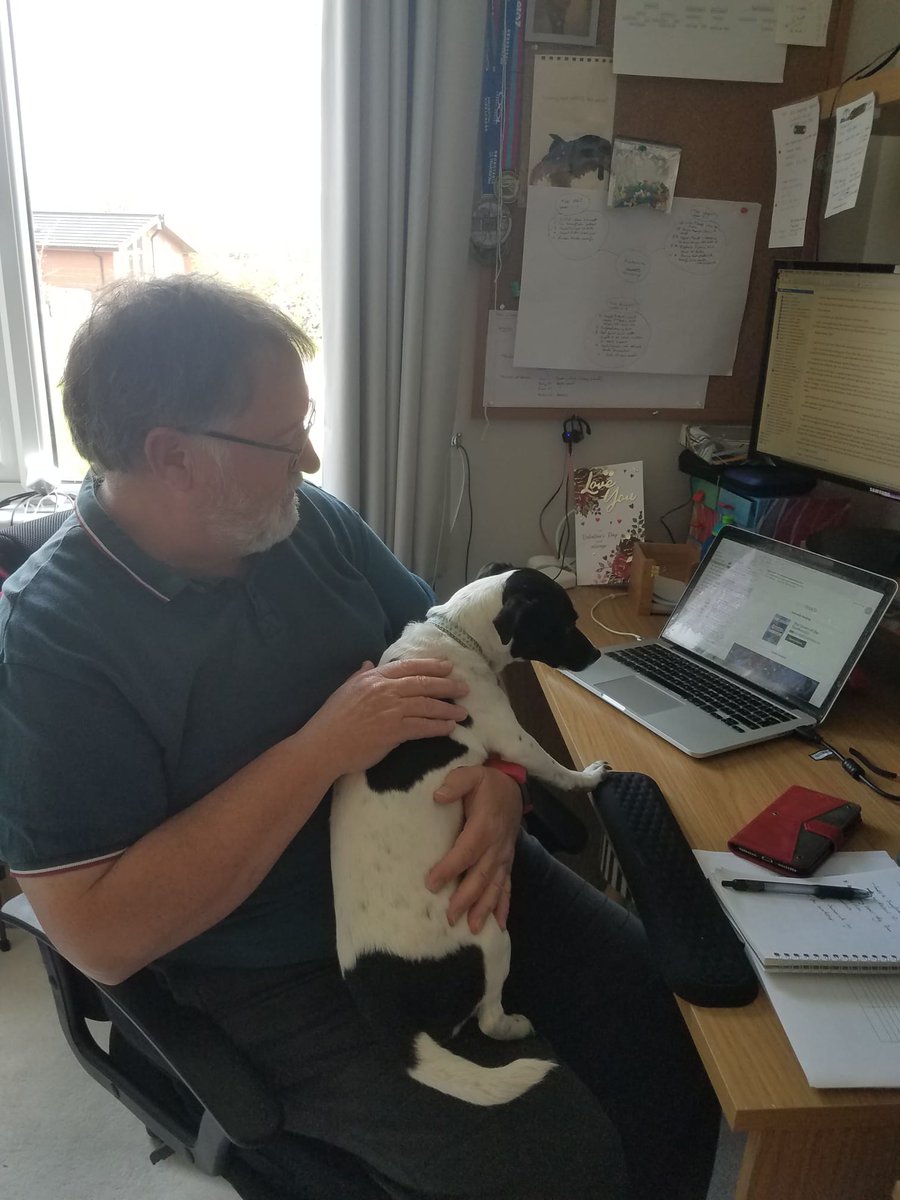 EfficientNovels's tweet photo. I have engaged a new proofreader. 
"How's it looking, Dolly?"
"Ruff" https://t.co/Bq5iyufuAz
