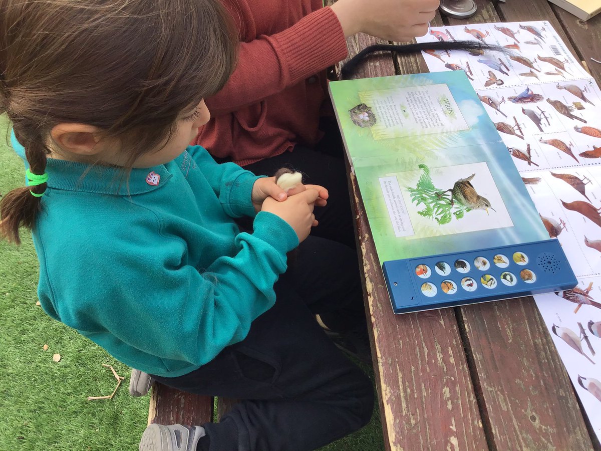 SPFNurseriesEY's tweet photo. #amazinganimals launch day in #Reception #EYFS @SPFSchools https://t.co/2bZamSCcXd