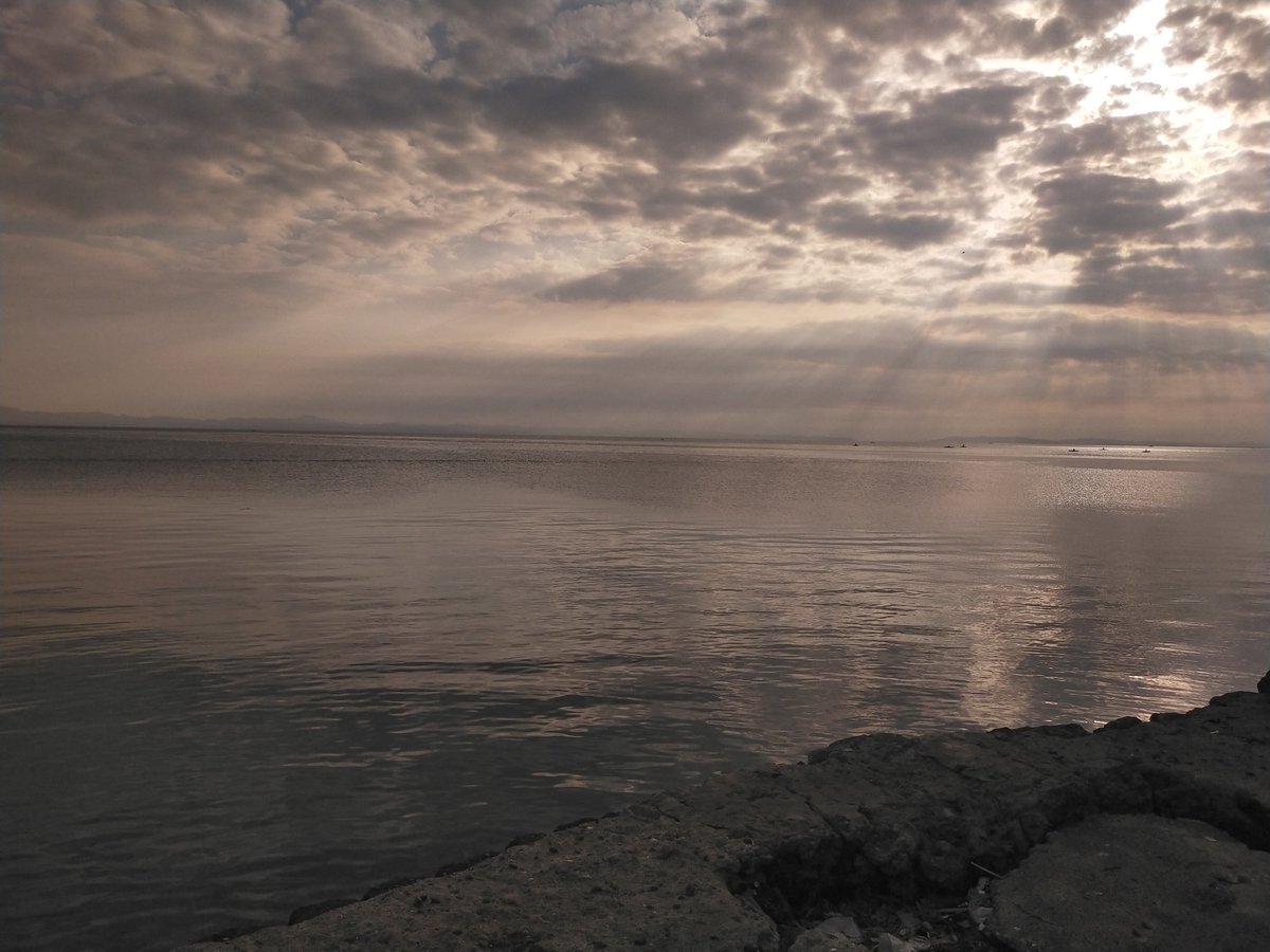 miley.NFT tweet media