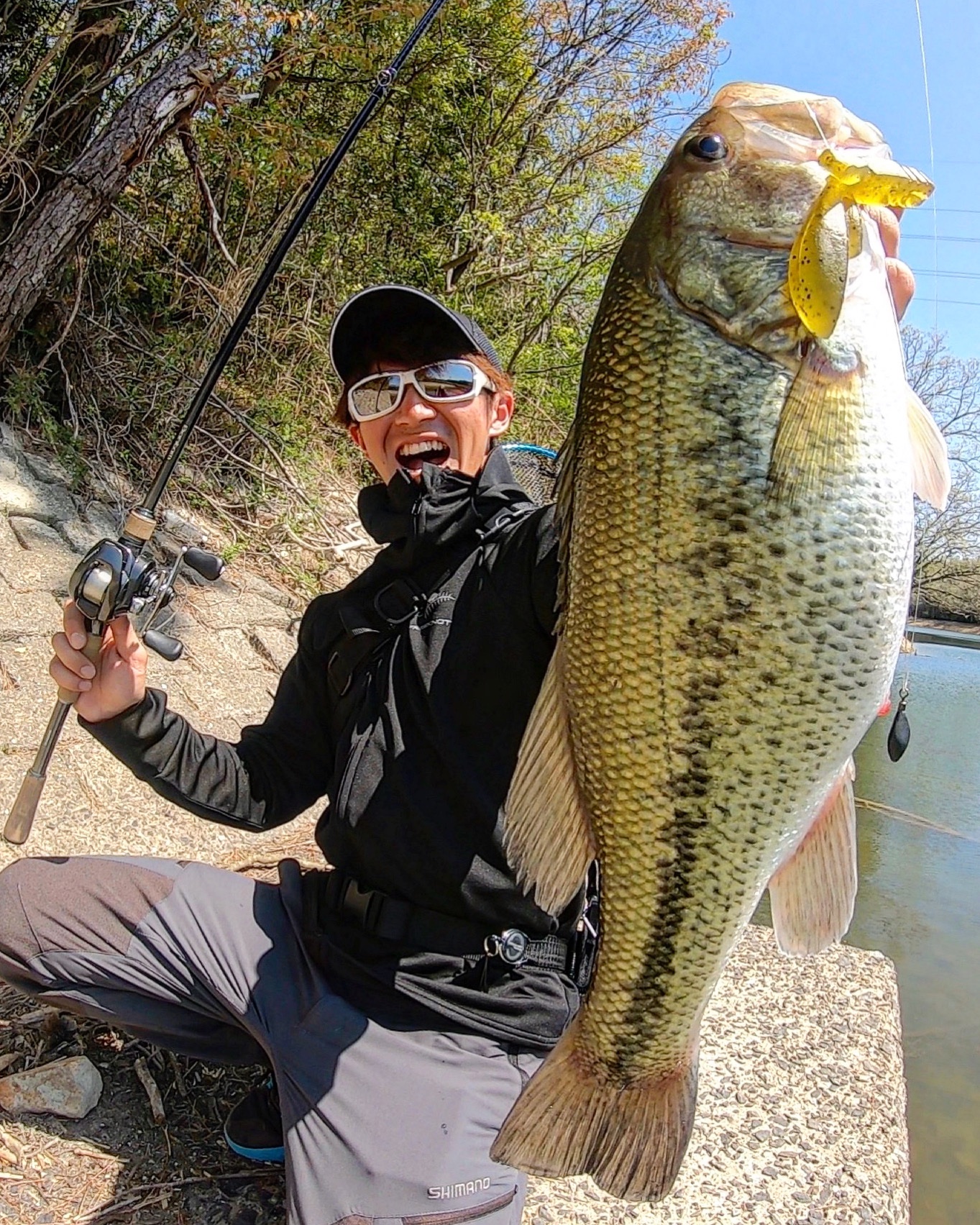 Kouhei Kojima Tackle Data Rod Bantam 170mh Reel Metanium Hg Line Shooter 16lb Lure Padrotter Sunburn Pepper Hook Tns Offset Narrow 2 0 Sinker Pin Free Shot 1 4oz Twitter