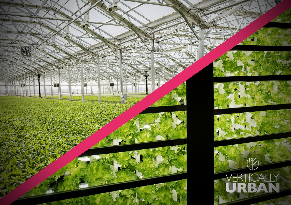 Vertical Farm 🌿 or Glasshouse 🍅?

We love both here <a href="/VerticallyUrban/">Vertically Urban</a>! Our team can talk through the best LED lighting solution for you so get in touch today.

verticallyurban.com/our-products/