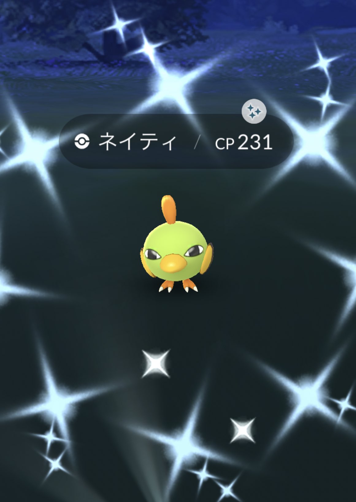 ネイティ色違い Twitter Search Twitter