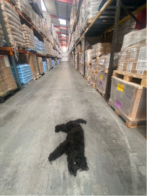 WOW Logistics tweet media