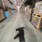 Photo by WOW Logistics (@LogisticsWow)