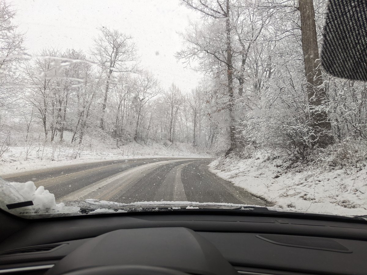 PrimaryParadox tweet media